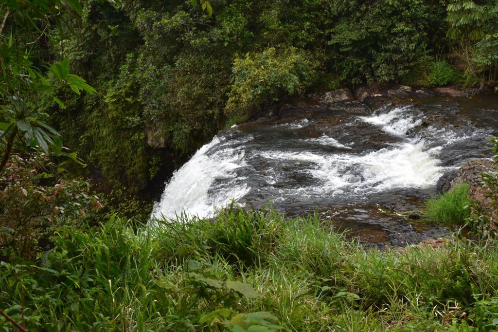 Broken Butterfly Wings